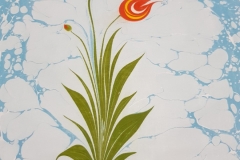EBRU CALISMASI2